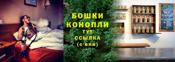 мдпв Дмитров